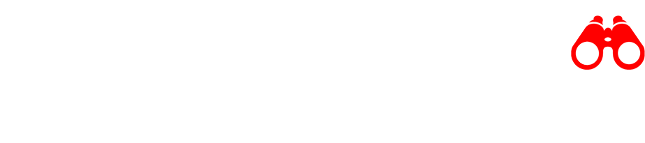 statty.net knowledge is power
